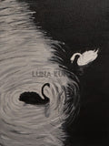 lunakunst.no-Kontrastens Dans
